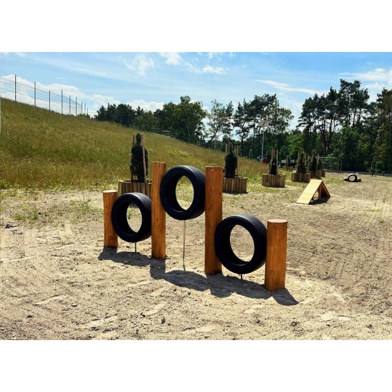 Obręcz do przeskoków dla psów | psiwybieg.pl