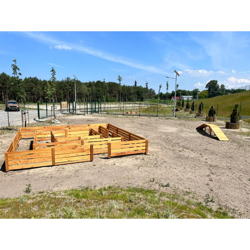 Labirynt | psiwybieg.pl